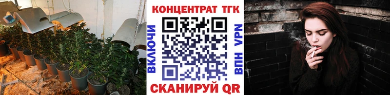 ТГК концентрат  блэк спрут маркетплейс  Безенчук 